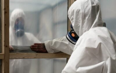 Asbestos Latest