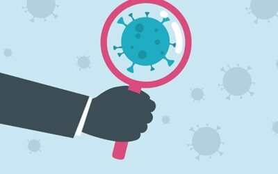 The Role of Risk Assessments